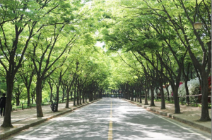 인천대공원 힐링숲